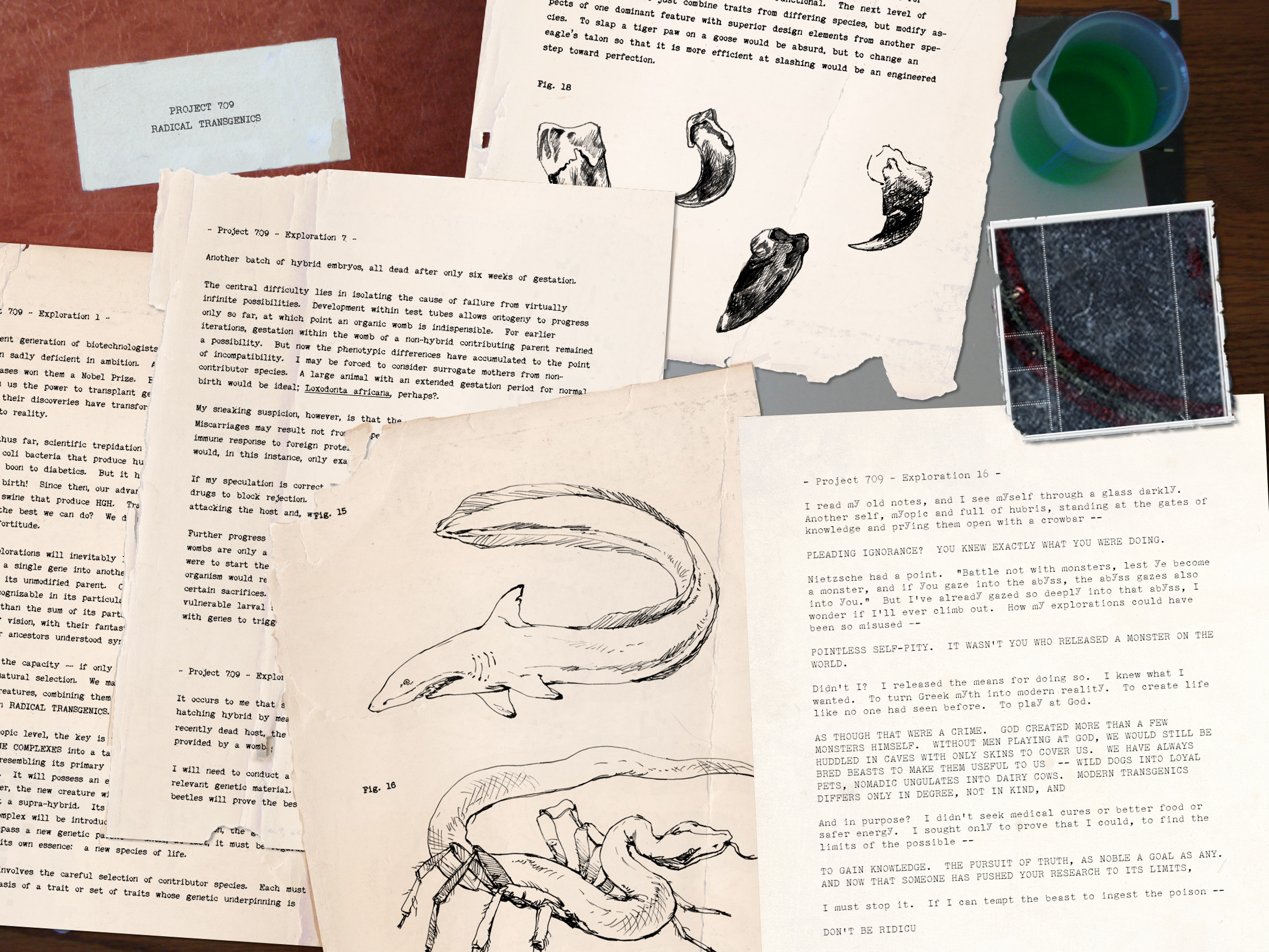 Walter's lab notes