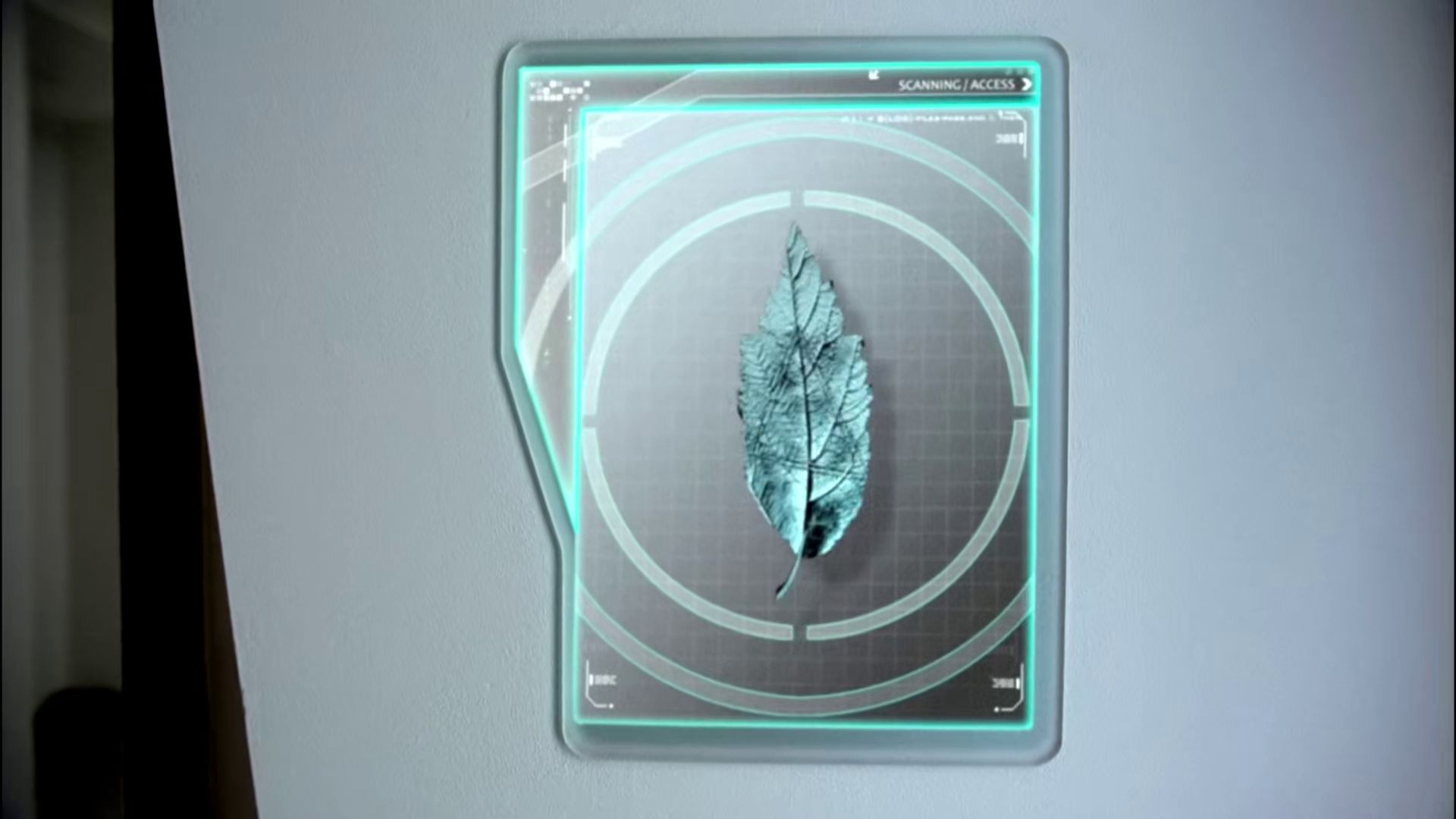 Leaf