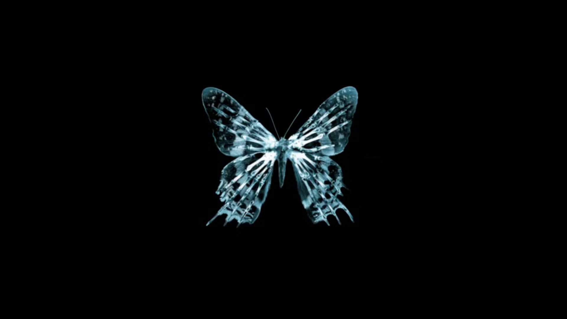 The butterfly glyph