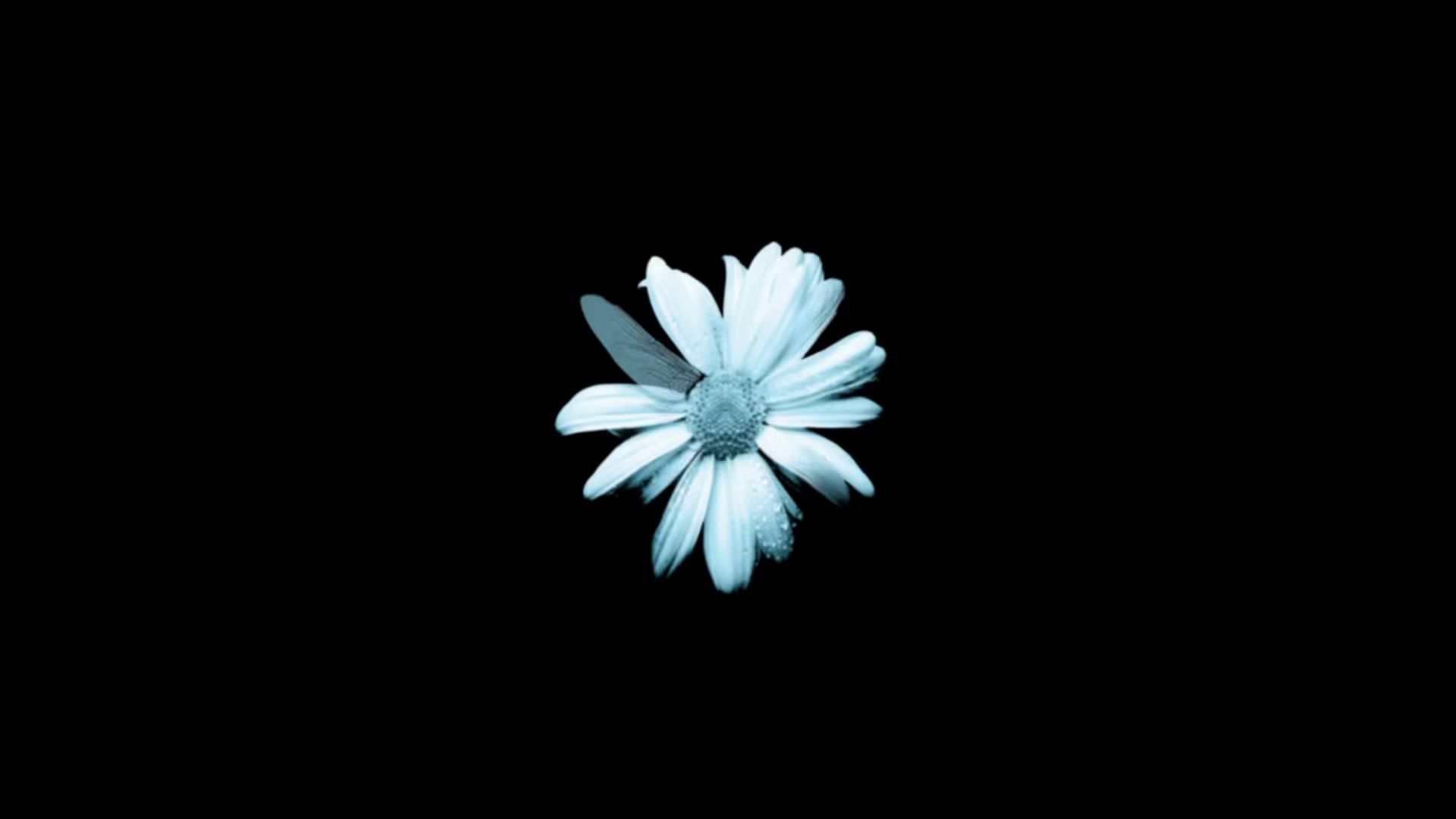 The flower glyph