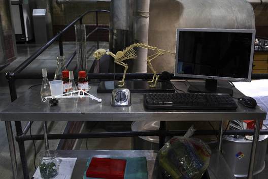 Walter's lab — FOX set photograph 4 of 24
